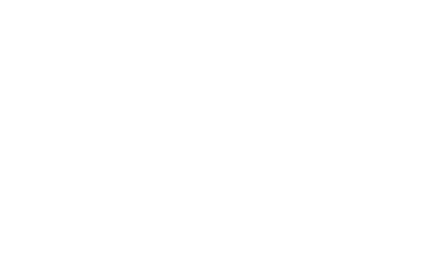 LAZ Parking